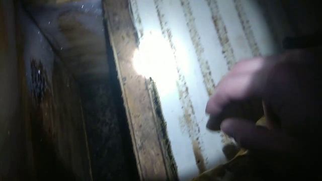 Зимовка пчёл 2021. смотреть онлайн