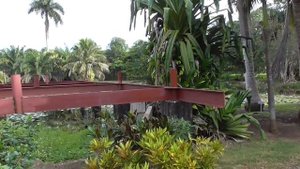 Карибское море+крокодиловая ферма.Экскурсия от Пегаса.Варадеро,Куба,Varadero,Cuba,2019