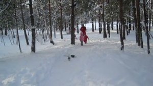 Юрий Слыжов "Вот и у нас наступила зима"