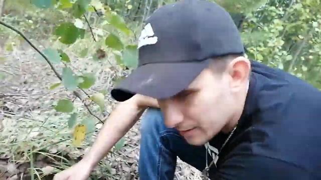 Как мы семьёй ходили за грибами и видели призраков))) смотреть онлайн