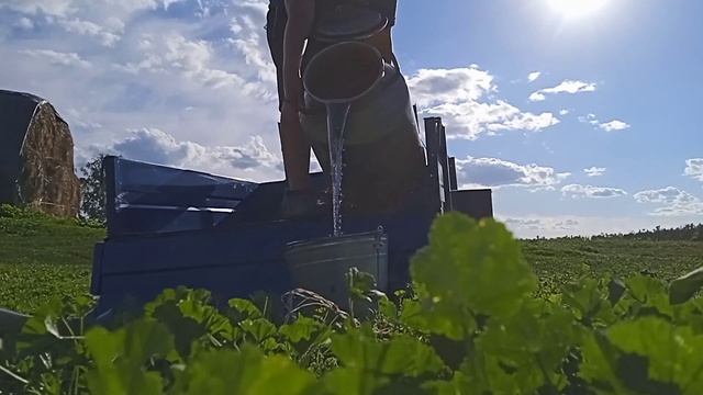 Моя вечерние управка. Мотоблок Ока русское производство смотреть онлайн