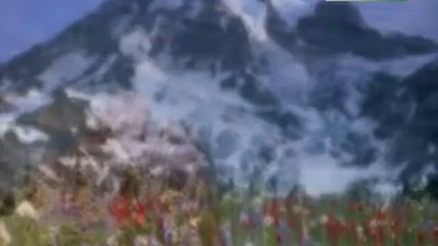 Красота Ислама удивительная история ТВ НАСИХАТ