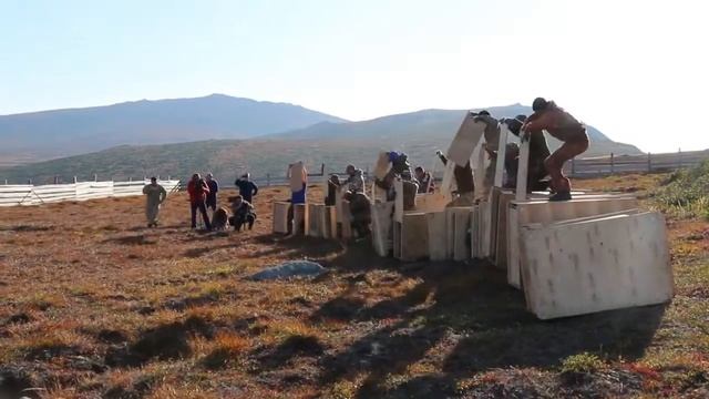 Продолжение ре-акклиматизации овцебыков в регионах России смотреть онлайн