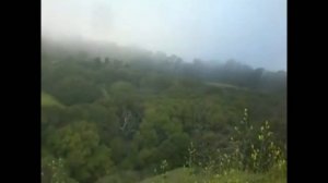 «УТРО ТУМАННОЕ» РУССКИЙ РОМАНС с оркестром народных инструментов – Яна Грей -Yana Gray