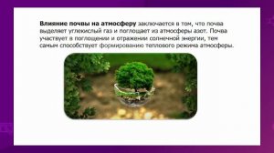 География. 7 класс. Почвы, их состав и структура /21.01.2021/