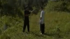 Как применяются "стойки" в боевом УШУ?