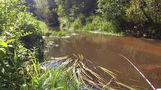 #442 #мормышинг Микро речка и купание смотреть онлайн