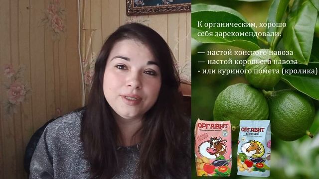 Удобрения для цитрусовых - 1 часть. Когда, чем и как? / Цитрусовый Рай МариАны