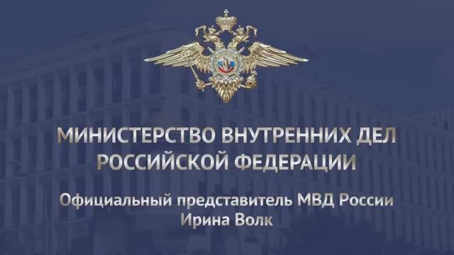 Ирина Волк: Объявленные в международный розыск россияне экстрадированы в Россию из Парагвая
