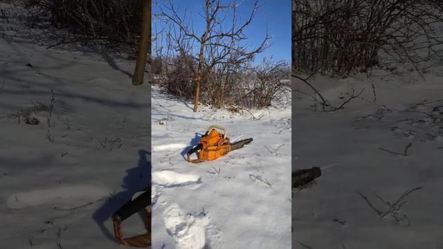 Бензопила Тайга 214 & Зима 2024🥶❄️⛄