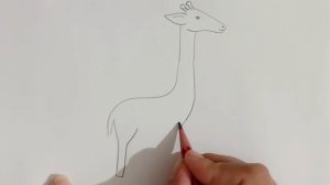 How to draw a giraffe|Giraffe drawing step by step #art #drawing