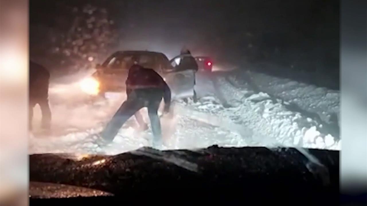 Санкт-Петербург и Ленинградская область приходят в себя после сильной метели