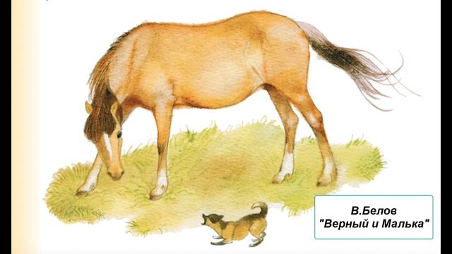 В. Белов "Верный и Малька" смотреть онлайн