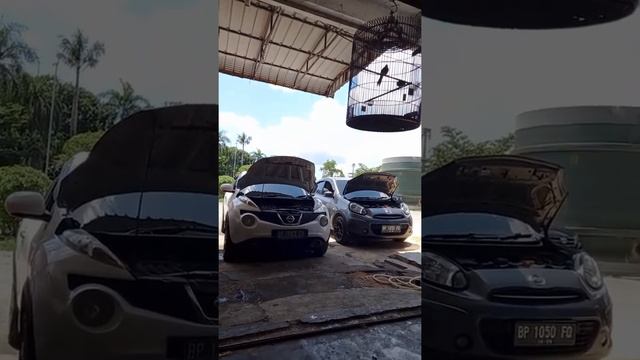 Nissan Juke & March смотреть онлайн