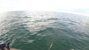 Lake St Clair FALL Smallmouth Bass Fishing 2022