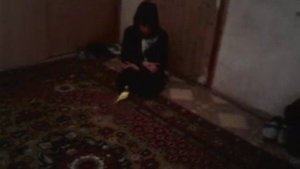 Птахи не такие трусливые!