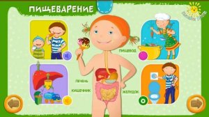 Анатомия для детей интересно и познавательно