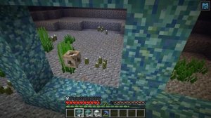 Minecraft 1.13 - Conduit, Heart of the Sea, Nautilus Shell