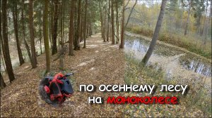 Прогулка по осеннему лесу на моноколесе