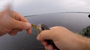 Рыбалка 27.07.2018. Модлона.