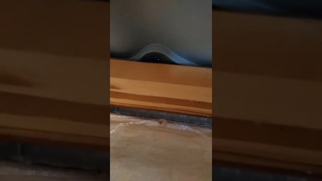 Нужна ли желая мансарда ? смотреть онлайн