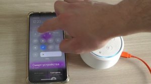 Как сбросить настройки Яндекс Колонки с сохранением покупок и подписок ?