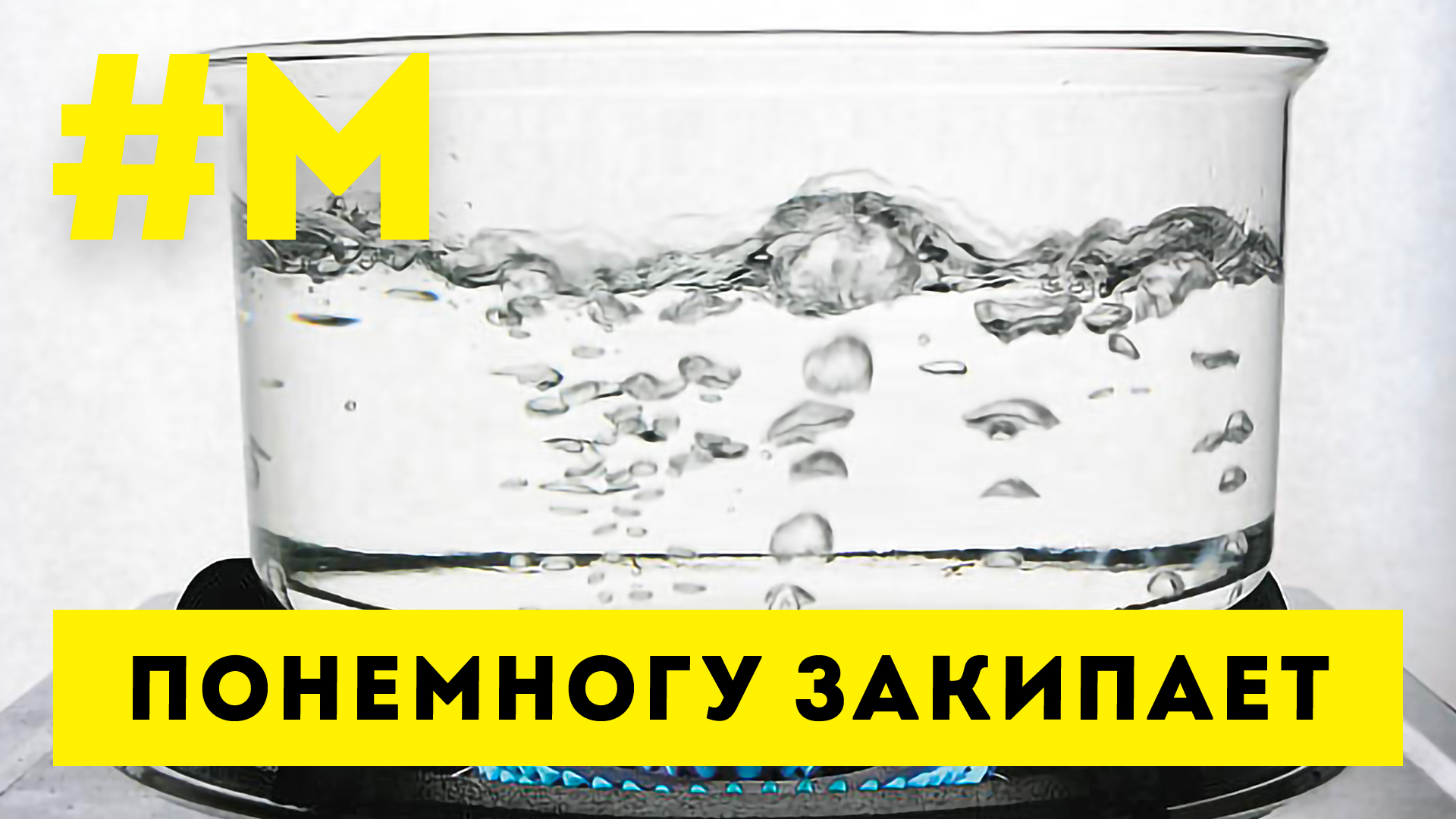 #МОНТЯН: Крысы, кризисы и Евровидение ?