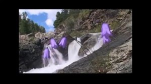 Altai Kai (Алтай Кай)-Yerim (Jerim/Jерим) (Türkçe Altyazılı)