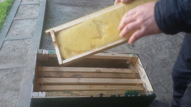 Ловушки для поимки пчелиных роёв, ч.2. Установка и поимка пчелиных роёв. смотреть онлайн