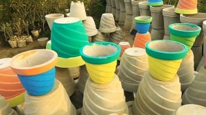 Roadside Cheapest Nursery In Noida, Delhi | Cheapest Plant Nursery | Plant Price &amp; Name |     GoTra