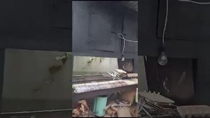 Гостевой дом "Абхазский дворик" г. Гагра