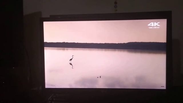 Demonstração Monitor LG 23EA53. смотреть онлайн