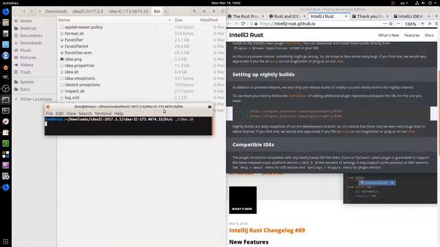 IntelliJ IDEA IDE: Install Rust | A Systems Programming Language смотреть онлайн
