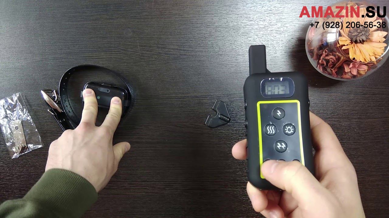 Электронный ошейник для охотничьих собак Trainertec DT2000 (Ducatillon DT2200) смотреть онлайн