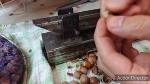 Самодельный орехокол для фундука и грецкого ореха.