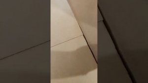 Ремонт стиральной машины Indesit Шумит, гремит на отжиме Замена бака