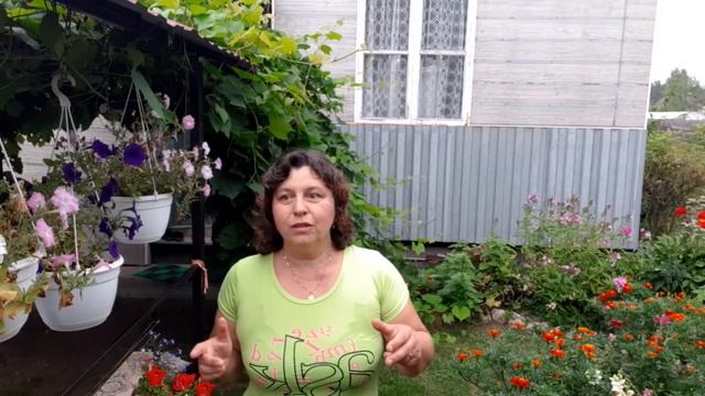 Мой путь к стройности. Вес или объём.