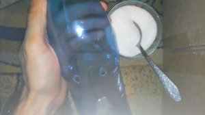 Как избавиться от ос на винограде в домашних условиях за 1 день