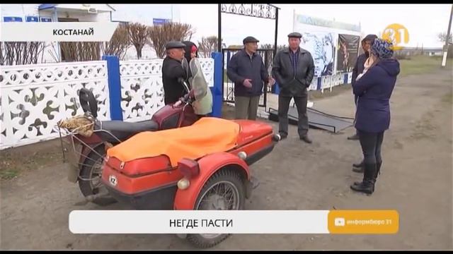 Фермеры Костанайской области грозятся вырезать свой скот из-за нехватки пастбищ смотреть онлайн