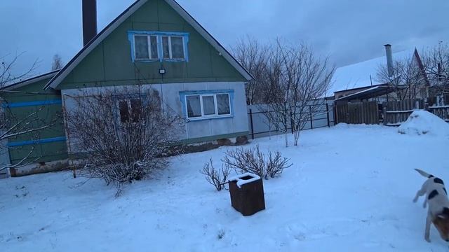 Показываю семейные фотографии, как раньше выглядел двор. Сколько было скота. Деревенские блинчики. смотреть онлайн