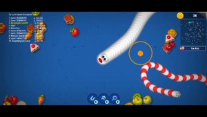 Червячная зона (2)