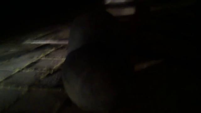 Айдар свалил Ленина в Новомосковском районе смотреть онлайн