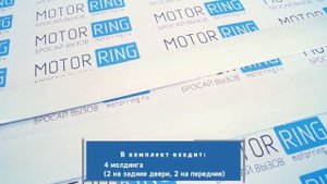 Пластиковые молдинги на двери Лада Гранта, Калина, Калина 2, Datsun в цвет | Motorring.ru