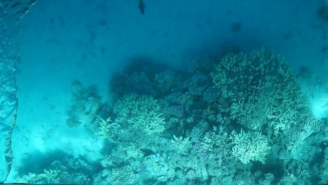 SHARM EL SHEIKH лодка с прозрачным дном