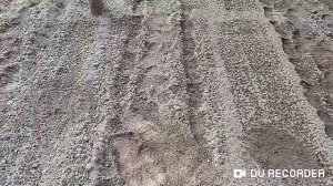 Пахать или фрезеровать, культивировать?