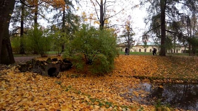 Царское Село Екатерининский дворец | Поездка в Пушкин смотреть онлайн