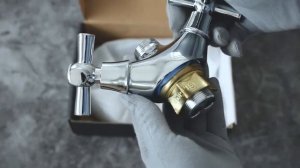 Распаковка двухвентильного смесителя для кухни с гибким цветным изливом от бренда Dionis DBB4-KG-53