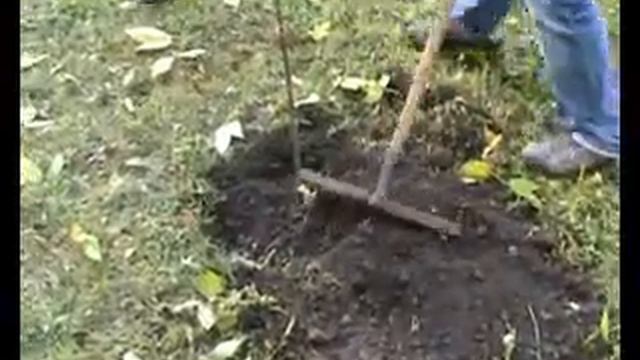 экология москвы.mpg смотреть онлайн