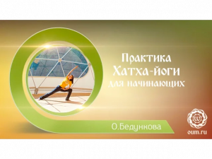 Йога для начинающих. Видео уроки. Практика хатха йоги для начинающих. Ольга Бедункова