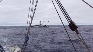 Barcos luchando por la pesca de atún en alta mar - Adrenalina pura